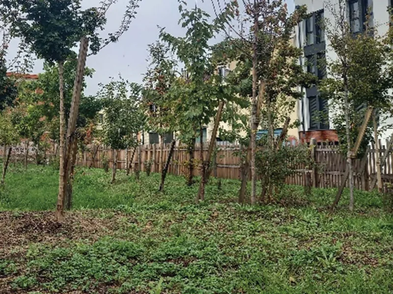 Éco-Friche Louis Dain, une espace nature au milieu des puces