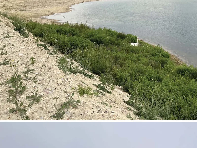 Aménagement du parc écologique de l’Écopôle Seine Aval
